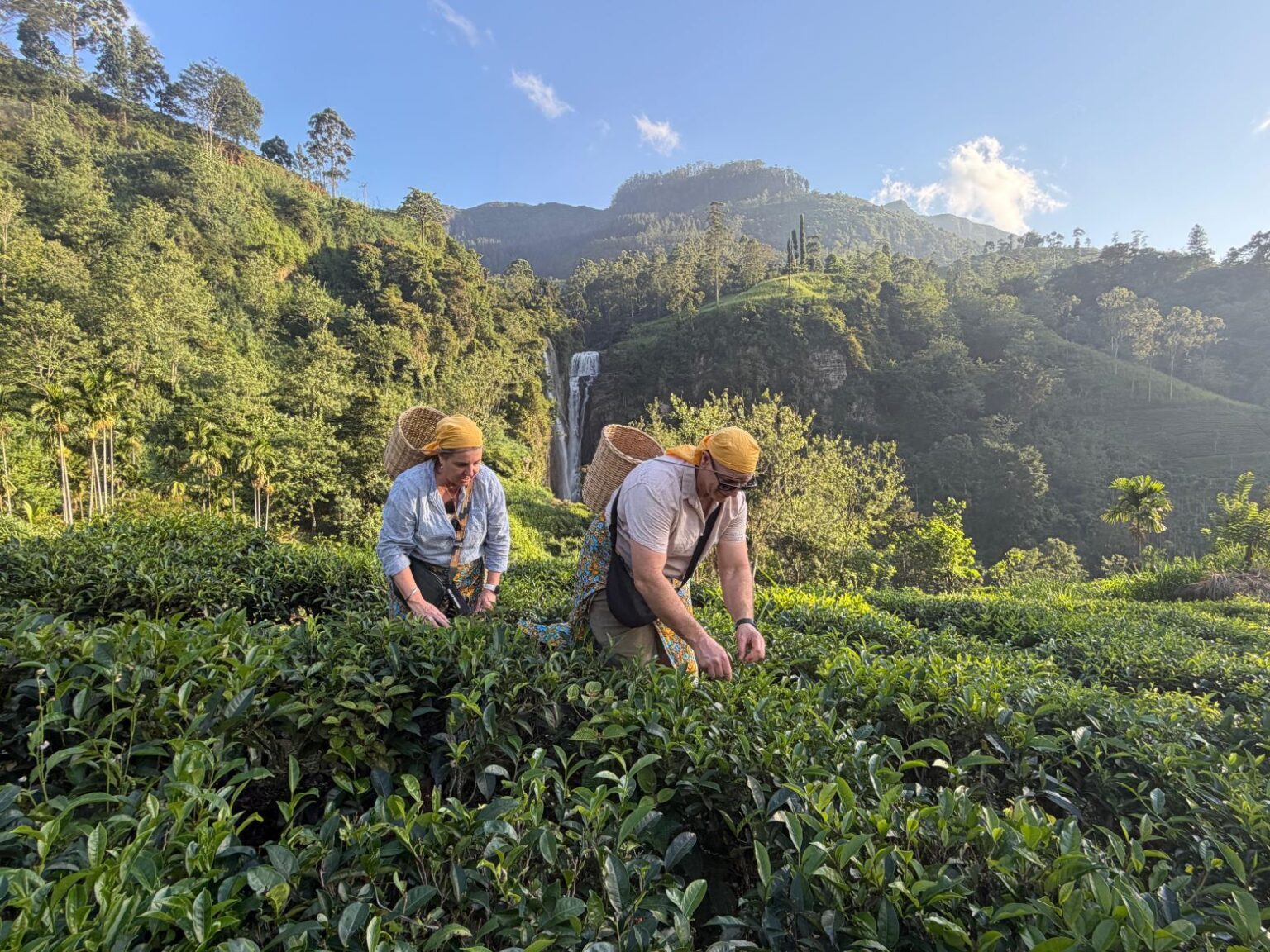 Breathe in the mist-covered tea estates.